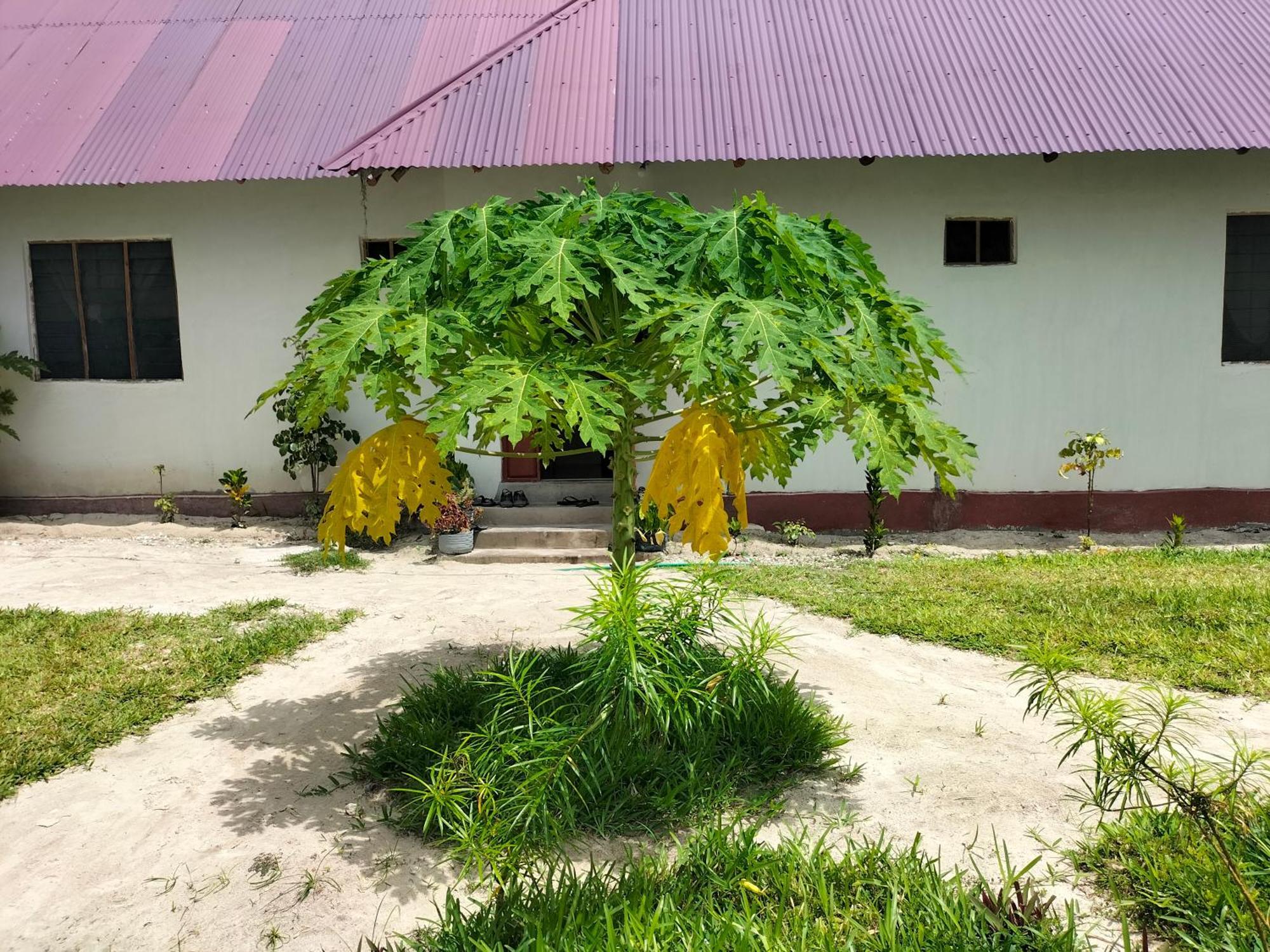 Mambo Leo Hostel Paje Exterior foto
